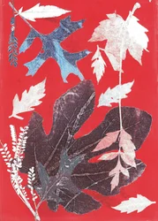 Jol XII, 2017 (monoprint sur papier)