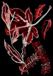 Flore nocturne I, 2018 (numérique)