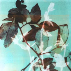 Saison III, 2018 (numérique)