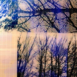 Saison IV, 2018 (numérique)
