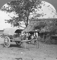 Maison de village en bambou et feuilles, Birmanie
