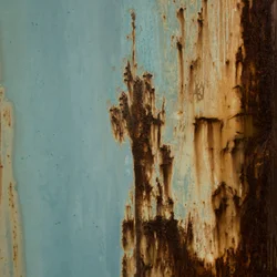 La pourriture bleue