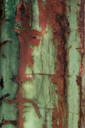 Texture vert rouille