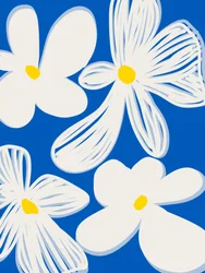 Des fleurs blanches pleines de gaieté