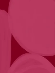 Formes fluides roses