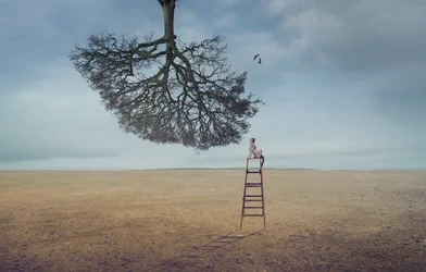 Contemplation d
