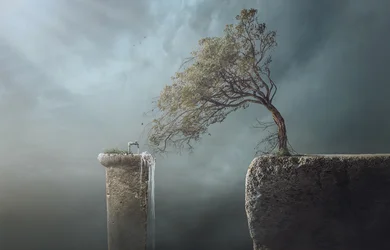 Falaise aux arbres balayés par le vent