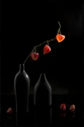 Nature morte aux lanternes orange
