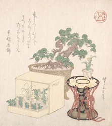 Pin en pot, tambour et sept herbes plantées dans une boîte, 18e-19e siècle