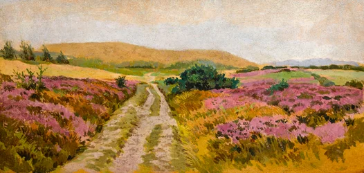 Paysage avec bruyère