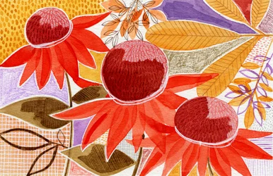 Fleurs d