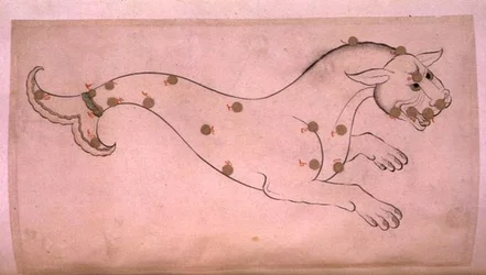 Constellations : Céto, la baleine