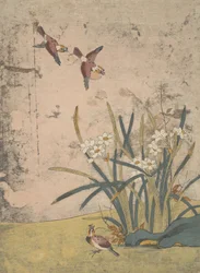 Oiseaux et narcisses