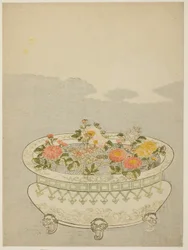 Chrysanthèmes et la lune montante