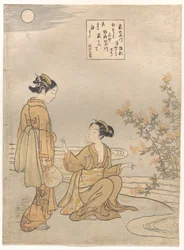 Tamagawa du trèfle des buissons