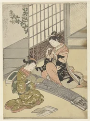 Oies atterrissant près des ponts de koto