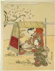 Repos dans un palanquin sous les cerisiers en fleurs