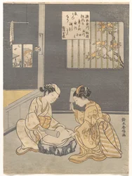 La rivière aux joyaux du foulage des étoffes, lieu célèbre de la province de Settsu (Tōi no Tamagawa, Settsu no meisho), d