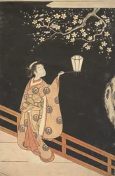 Femme admirant les fleurs de prunier la nuit