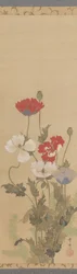 Coquelicots, milieu du 19ème siècle