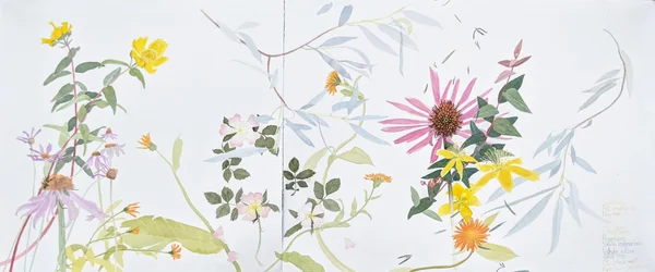 Plantes médicinales et curatives, 2021 (aquarelle sur papier)