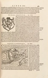 Page 983 de Cosmographiae Universalis par Sebastian Muenster, Bâle, 1572