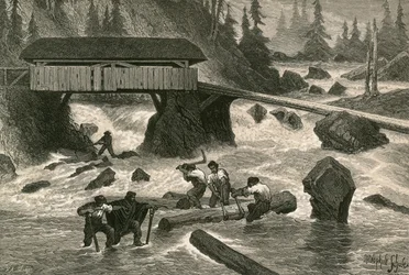 Flotteurs de Bois