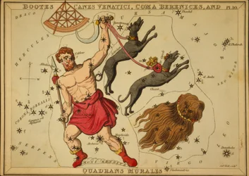 Bootes Canes Venatici, Coma Berenices, et Quadrans Muralis, Illustration de 
