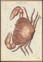 Cancer, vers 1825