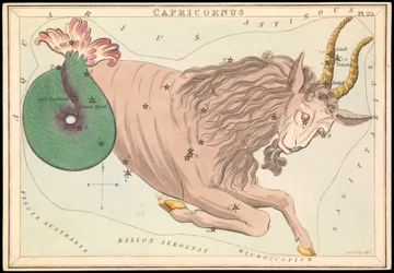 Capricorne