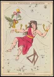 Gloria Frederich, Andromède et Triangula, vers 1825 (carte, papier, tissu)