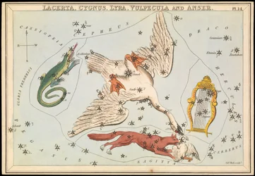 Lacerta, Cygnus, Lyra, Vulpecula et Anser, c.1825