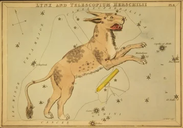 Lynx et Telescopium Herschilii, Illustration de 