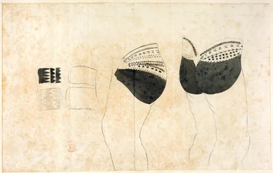 Une collection de dessins réalisés par A. Buchan, S. Parkinson et J. F. Miller dans les pays visités par le capitaine James Cook lors de son premier voyage (1768-71), ainsi que des gravures publiées dans les Voyages de Biron (Byron), Wallis et Cook (1773) 