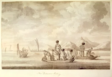 Néo-Zélandais pêchant, janvier 1770