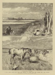 Vers le Grand Nord-Ouest avec le marquis de Lorne, XVII, la prairie et les Rocheuses