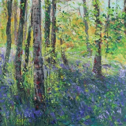 Bouleaux et jacinthes des bois