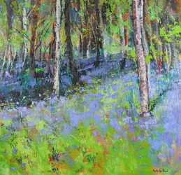 Jacinthes et bouleaux