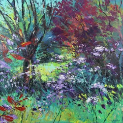 Lumière et ombre dans le jardin