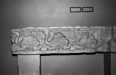 Relief de chameau (pierre)