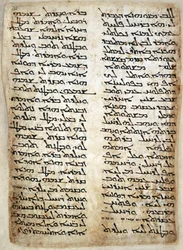 Add. 14425, f.31, Page de texte du Pentateuque. (Genèse, Exode, Nombres, Deutéronome), 464