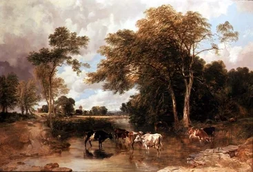 Paysage fluvial boisé