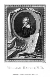 William Harvey, médecin, 1777