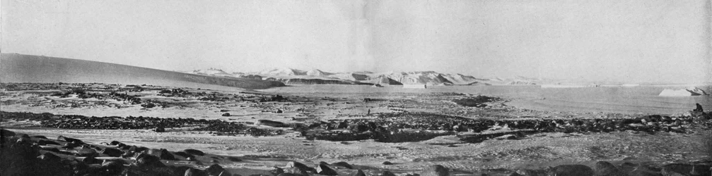 Panorama du Cap Roberts vers le nord, vers 1911, 1913