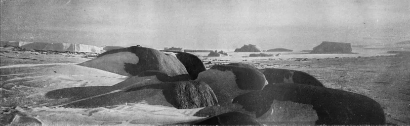 Blocs de granit planés par des glaciers anciens au Cap Roberts, vers 1911, 1913