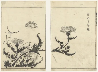 Chardons et papillon (Gahon shinkoku makiage)