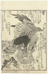 Aigle avec un singe dans ses griffes