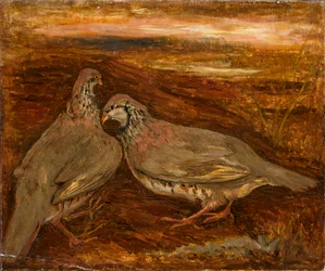 Deux oiseaux