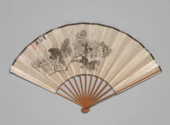 Pivoine, 19e siècle