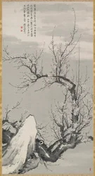 Prunier à l